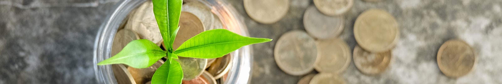 A small, green plant grows out of a jar of coins. Other coins lay on the table below.