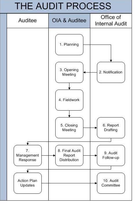 Diagram outlining steps involved in the audit process.