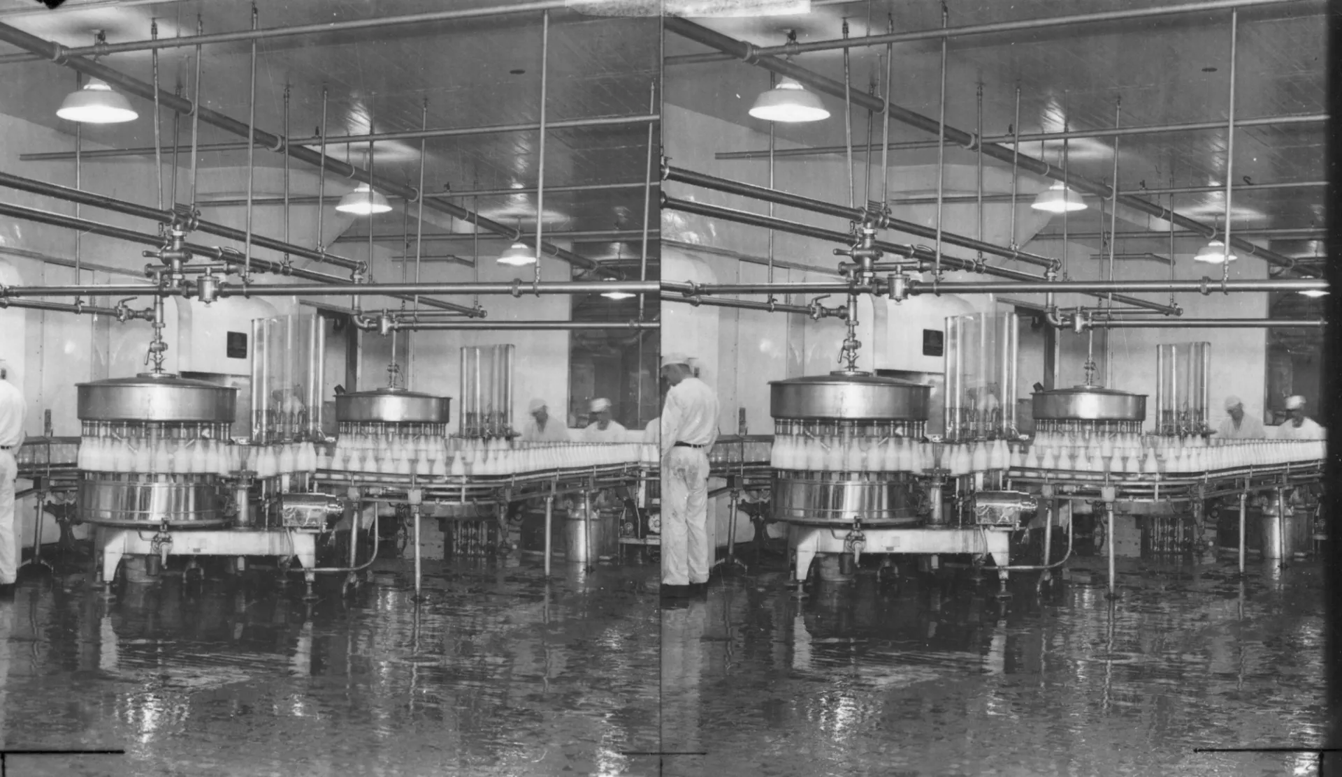 Bottling milk at the Borden's Dairy Company.