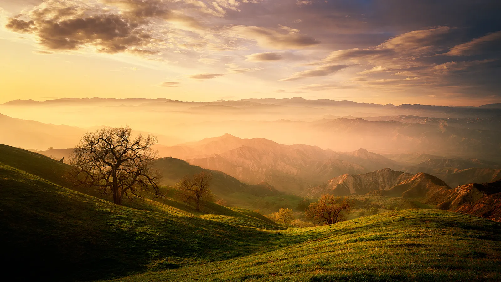 photo of landscape